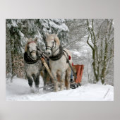Winter Sleigh Ride Color Image Poster (Voorkant)