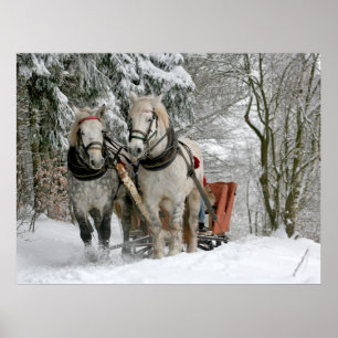 Winter Sleigh Ride Color Image Poster