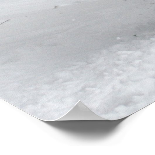 Winter Sleigh Ride Color Image Poster (Hoek)