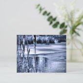 Winter Sneeuw Blauw Ijs Water Rimpelingen Lisdodde Briefkaart (Staand voorkant)