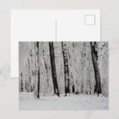 Winter Sneeuw Bomen   -     - Briefkaart (Voorkant / Achterkant)