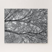 Winter Sneeuw Boomtakken Foto Legpuzzel (Horizontaal)