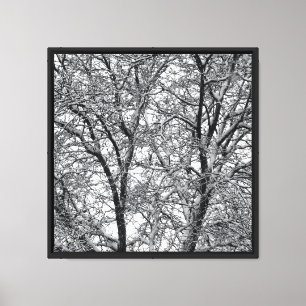 Winter Sneeuw Boomtakken Fotograaf Canvas Afdruk