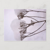 Winter Sneeuw Foto Briefkaart (Voorkant)
