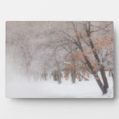 Winter Sneeuw | Lake Kussharo Fotoplaat (voorkant)