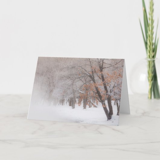Winter Sneeuw | Lake Kussharo Kaart (Voorkant)