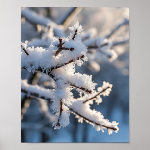 Winter Sneeuw Vorstige Boomtak Zonlicht Poster