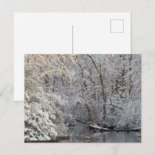 Winter Sneeuw Vreedzame Water Scène Briefkaart (Voorkant / Achterkant)