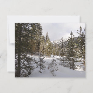 Winter sneeuwlandschap in Montana Feestdagenkaart