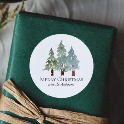 Winter Sneeuwrijke dennenappel Kerstmis Ronde Sticker