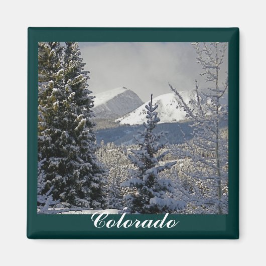 Winter Sneeuwscène, Colorado Magneet (Voorkant)