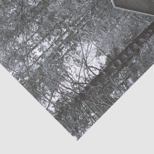 Winter Sneeuwscene Tissuepapier (Detail)