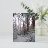 WINTER SNEEUWSCENE VAN SHARON SHARPE BRIEFKAART (Staand voorkant)