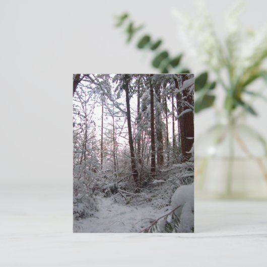 WINTER SNEEUWSCENE VAN SHARON SHARPE BRIEFKAART (Staand voorkant)