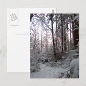 WINTER SNEEUWSCENE VAN SHARON SHARPE BRIEFKAART (Voorkant / Achterkant)