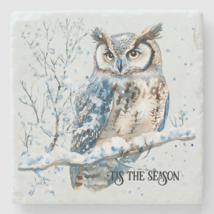 Winter Sneeuwvlokken Blauwe Uil Kerstsneeuw Stenen Onderzetter
