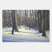Winter Sneeuwwoud Art Inpakpapier Vel (Voorkant)
