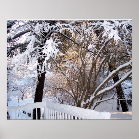 Winter sneeuwzicht vanaf de voorveranda poster (Voorkant)