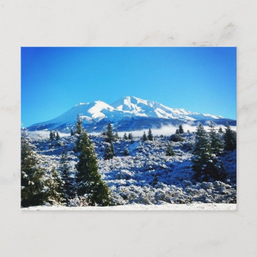 Winter Snow at Mount Shasta, CA Briefkaart (Voorkant)