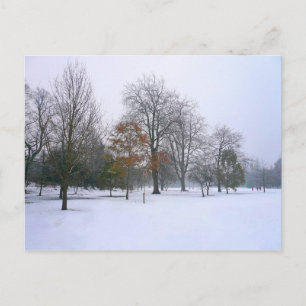 Winter Snow, Bute Park, Cardiff, Wales Briefkaart