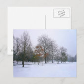 Winter Snow, Bute Park, Cardiff, Wales Briefkaart (Voorkant / Achterkant)