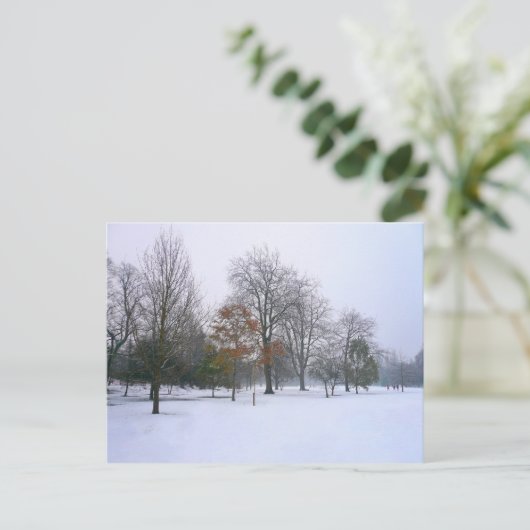 Winter Snow, Bute Park, Cardiff, Wales Briefkaart (Staand voorkant)