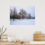 Winter Snow, Bute Park, Cardiff, Wales Poster (Keuken)