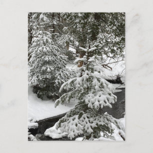 Winter Snow Cabin Fever Creek Forest Outdoors Hike Feestdagenkaart