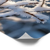 Winter Snow Frosty Tree Branch Sunlight Poster (Hoek)