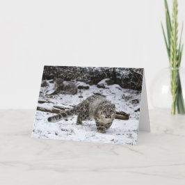 Winter Snow Leopard Cub Feestdagen Kaart