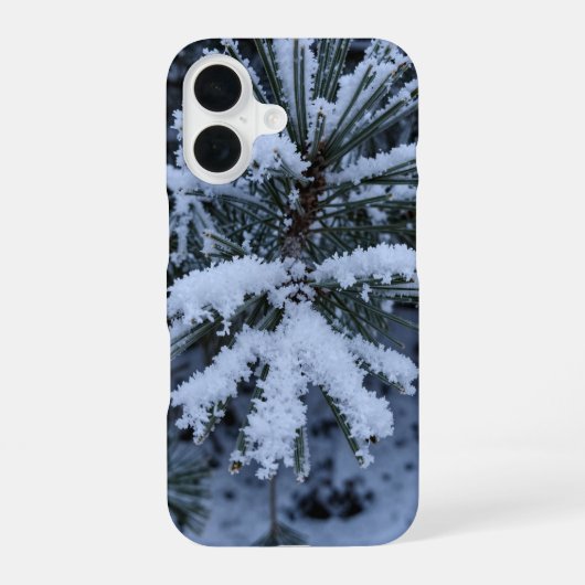 Winter Snow Pine Needles Macro Phone Case iPhone 16 Hoesje (Achterkant)