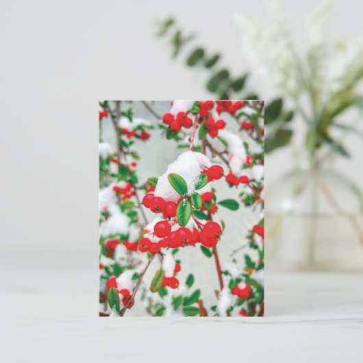 Winter Snow Red Berries Briefkaart (Staand voorkant)