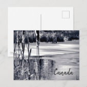 Winter Snow Shadows Black White Canada Souvenir Briefkaart (Voorkant / Achterkant)