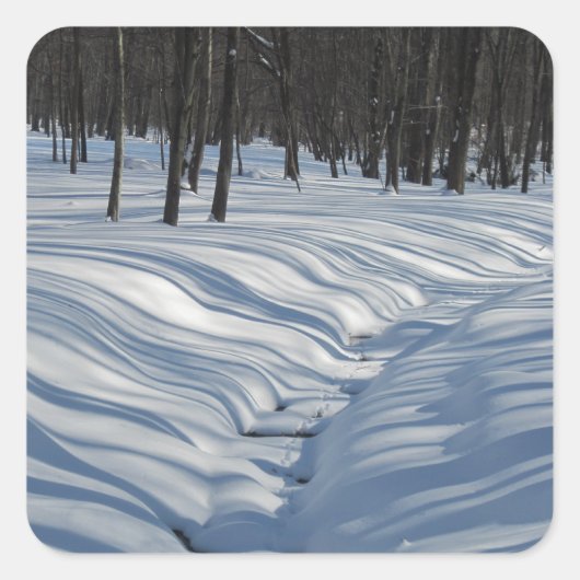 Winter Snow Shadows Sticker (Voorkant)