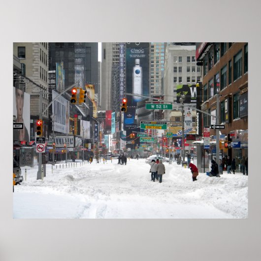 Winter Snow Storm New York City 12-26-10 Poster (Voorkant)