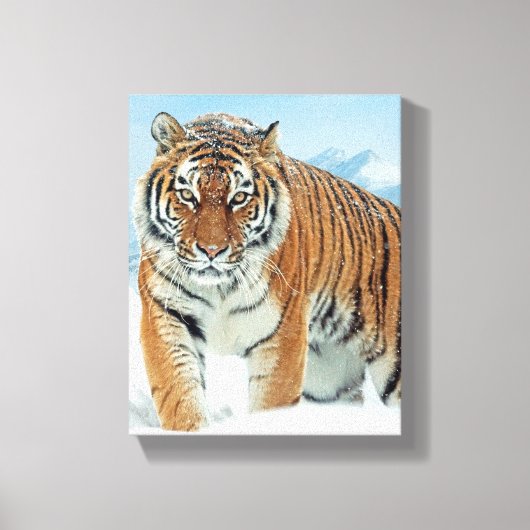 Winter Snow Tiger Mountains Natuur Photo Canvas (Voorkant)
