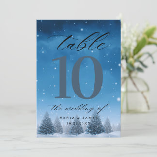 Winter Snow Trouwtafel Nummer Programmakaart