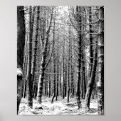 Winter snow woodland forest poster (Voorkant)