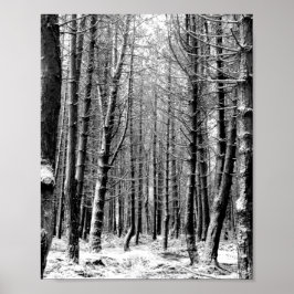 Winter snow woodland forest poster