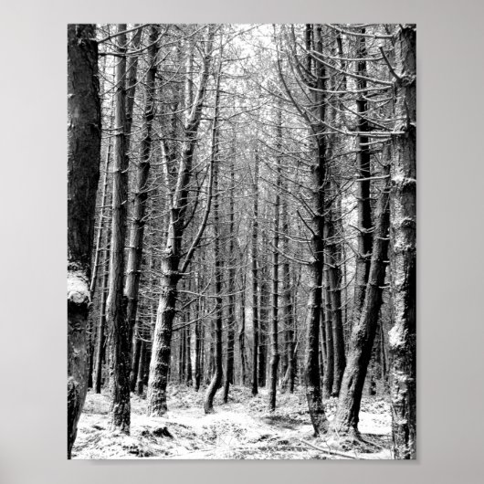 Winter snow woodland forest poster (Voorkant)