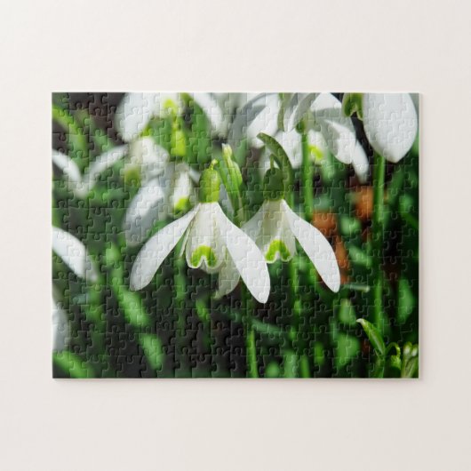 Winter Snowdrops Spring Flower Bulb Bouquet Legpuzzel (Horizontaal)