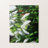 Winter Snowdrops Spring Flower Bulb Bouquet Legpuzzel (Verticaal)