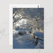 Winter Snowfall Briefkaart (Voorkant / Achterkant)