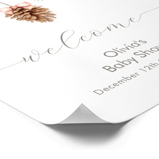 Winter Snowflake Pine cone Baby Shower Welcome Poster (Hoek)