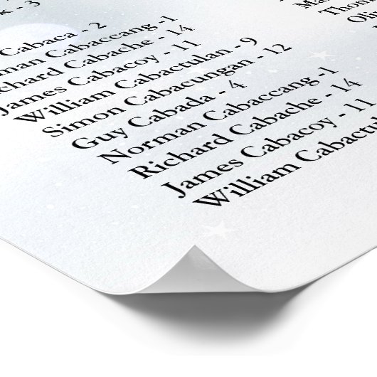 Winter Snowflakes 300 Names Wedding Seating Chart Poster (Hoek)