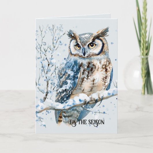 Winter Snowflakes Blue Owl Christmas Kaart (Voorkant)
