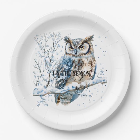 Winter Snowflakes Blue Owl Christmas Snow Papieren Bordje (Voorkant)