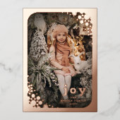 Winter Snowflakes Lijst Prettige feestdagen Elegan (Voorkant)