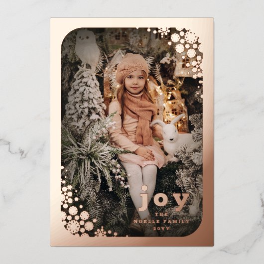 Winter Snowflakes Lijst Prettige feestdagen Elegan (Voorkant)