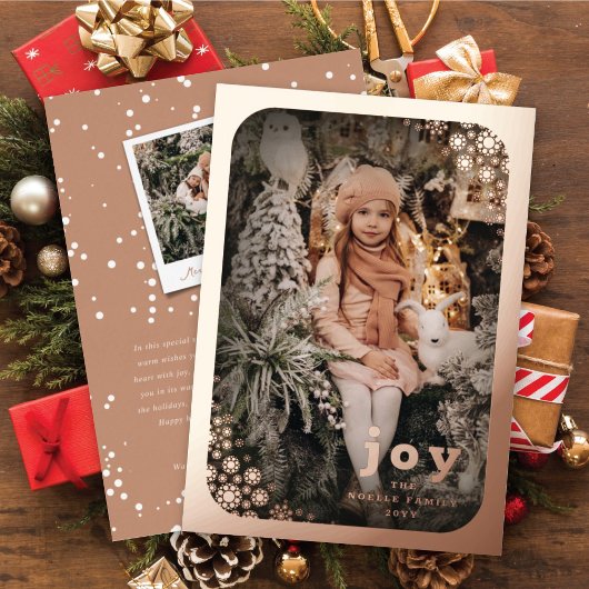 Winter Snowflakes Lijst Prettige feestdagen Elegan